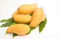 Fresh Ripe Mangoes with green leaves Royalty Free Stock Photo
