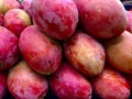 Fresh ripe mangoes stacked at a farmers market Royalty Free Stock Photo