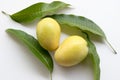 Fresh ripe mangoes Royalty Free Stock Photo