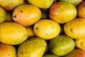 Fresh ripe mangos Royalty Free Stock Photo