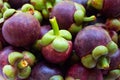 Fresh ripe mangosteen fruits. Royalty Free Stock Photo