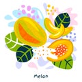 Fresh ripe melon fruits juice splash organic food juicy cantaloupe splatter on abstract background vector