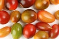 Fresh ripe mixed tomato