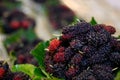 Fresh Ripe mulberry berries in a bowl Royalty Free Stock Photo
