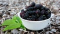 Fresh ripe mulberry berries in a white plate Royalty Free Stock Photo