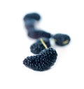 Fresh ripe mulberry over white Royalty Free Stock Photo