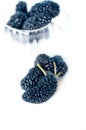 Fresh ripe mulberry over white Royalty Free Stock Photo