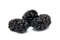 Fresh ripe mulberry on a white Royalty Free Stock Photo