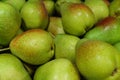 Fresh ripe multi-colored pears in a box Royalty Free Stock Photo