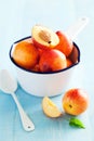 Fresh ripe nectarines Royalty Free Stock Photo