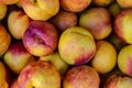 Fresh ripe nectarines for sale Royalty Free Stock Photo