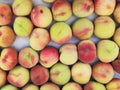 Fresh, ripe nectarines in wooden boxes for sale at a market. Close up. Fruit, summer concept Royalty Free Stock Photo