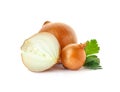 Fresh ripe onions on white background Royalty Free Stock Photo