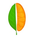 Fresh ripe orange. Piece fruit with leaves. Vector illustration in a flat style Royalty Free Stock Photo