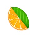 Fresh ripe orange. Piece fruit with leaves. Vector illustration in a flat style Royalty Free Stock Photo