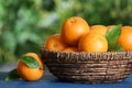 Fresh ripe oranges on blue wooden table against blurred background Royalty Free Stock Photo