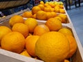 Fresh ripe oranges on market counter. Orange useful properties