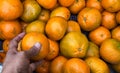 fresh ripe oranges stacked together at local fruit market Royalty Free Stock Photo