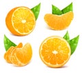 Fresh ripe oranges