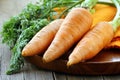 Fresh ripe organic carrots Royalty Free Stock Photo