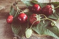 Fresh ripe organic cherries and strawberry. Royalty Free Stock Photo