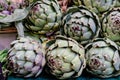 Fresh ripe organic globe artichokes displayed for sale at a street food market Royalty Free Stock Photo