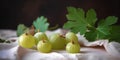 Fresh ripe organic gooseberries with green leaves laying on white tablecloth
