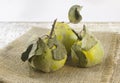 Fresh ripe organic quince with leaves on grey wooden table and rough linen Vinrage still life