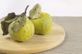 Fresh ripe organic quince with leaves on grey wooden table and rough linen Vinrage still life