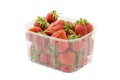 Fresh ripe organic strawberries in transparent plastic retail package. Isolated on white background with clipping path.