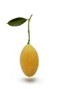 Fresh ripe organic sweet yellow marian plum or plum mango on white isolated background with clipping path. Tropical exotic summer Royalty Free Stock Photo