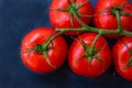 Fresh ripe organic tomatoes on a vine on dark blue background, styled food photography, copyspace, top view