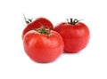 Fresh ripe organic tomatoes with water drops isolated Royalty Free Stock Photo