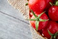 Fresh ripe organic tomatoes