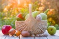 Fresh ripe organic vegetables and fruits in a wicker basket on a wooden table in the garden Royalty Free Stock Photo