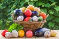 Fresh ripe organic vegetables in a wicker basket on a wooden table Royalty Free Stock Photo