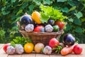 Fresh ripe organic vegetables in a wicker basket on a wooden table Royalty Free Stock Photo