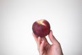 Fresh ripe peach held in hand by Caucasian male hand. Close up studio shot, isolated on a white background Royalty Free Stock Photo