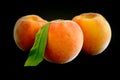 Fresh ripe peaches