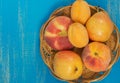 Fresh ripe peaches, pears and apricots in a plate on a blue wooden background. Fresh fruit background. Summer fruits Royalty Free Stock Photo