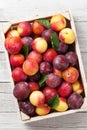 Fresh ripe peaches and plums Royalty Free Stock Photo