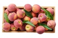 Fresh ripe peaches in a wooden box Royalty Free Stock Photo