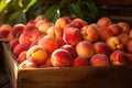 Fresh ripe peaches in a wooden box on a wooden tablem, picked peaches on display, AI Generated Royalty Free Stock Photo