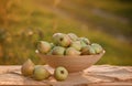 Fresh ripe pear in the basket on wooden table with natural orchard background on sunset. Vegetarian fruit composition. Harvesting Royalty Free Stock Photo