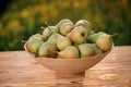 Fresh ripe pear in the basket on wooden table with natural orchard background on sunset. Vegetarian fruit composition. Harvesting Royalty Free Stock Photo