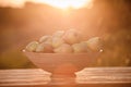 Fresh ripe pear in the basket on wooden table with natural orchard background on sunset. Vegetarian fruit composition. Harvesting Royalty Free Stock Photo