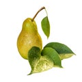 fresh ripe pear, isolated on the white background Royalty Free Stock Photo
