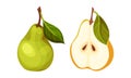 Fresh ripe pear set. Whole and cut in half organic fruit vector illustration