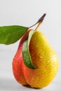 Fresh ripe pear with water drops and leaf on white background. Tasty fruit Royalty Free Stock Photo