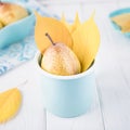 Fresh ripe pear and yellow autumn leaves in enameled cup on a white background. Toned photo. Copy space Royalty Free Stock Photo